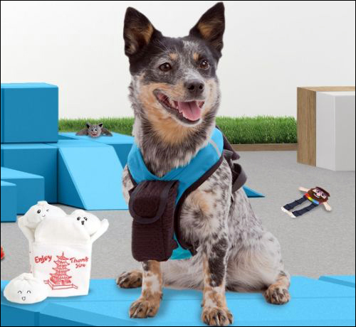 RFID帮助狗自主选择购物