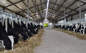 探感与江阴农林局签订奶牛养殖项目