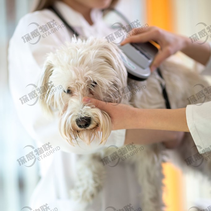 养犬管理_狗管理_犬只管理_江苏探感物联